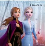 Petites serviettes Reine des neiges 2