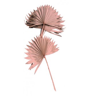 10 Feuilles de Palmier 55cm rose desert