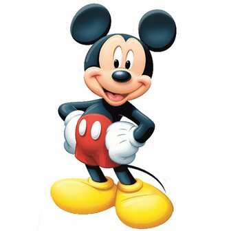 Affiche cartonn&eacute;e &#039;&#039;Mickey&#039;&#039; &agrave; louer