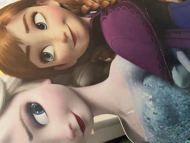 Affiche géante cartonnée '' ELSA et Anna'' à louer